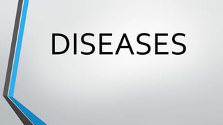 DISEASES
 