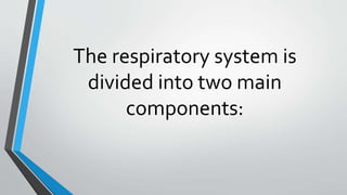 The respiratory system is
divided into two main
components:
 