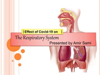 The Respiratory System
Presented by Amir Sami
Effect of Covid-19 on
 