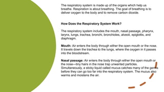 The respiratory system is made up of the organs which help us
breathe. Respiration is about breathing. The goal of breathing is to
deliver oxygen to the body and to remove carbon dioxide.
How Does the Respiratory System Work?
The respiratory system includes the mouth, nasal passage, pharynx,
larynx, lungs, trachea, bronchi, bronchioles, alveoli, epiglottis, and
diaphragm.
Mouth: Air enters the body through either the open mouth or the nose.
It travels down the trachea to the lungs, where the oxygen in it passes
into the bloodstream.
Nasal passage: Air enters the body through either the open mouth or
the nose—tiny hairs in the nose trap unwanted particles.
Simultaneously, a sticky liquid called mucus catches many of the germs
before they can go too far into the respiratory system. The mucus also
warms and moistens the air.
 