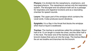 Pharynx: It is divided into the nasopharynx, oropharynx, and
laryngeal pharynx. The nasopharynx serves only the respiratory
system. The laryngeal and oro-pharynx both act as a passage
for respiratory and digestive functions and as a resonating
chamber for speech sounds.
Larynx: The upper part of the windpipe which contains the
vocal cords. It also produces sound vibrations.
Epiglottis: It is a flap in the throat that blocks the windpipe
when food or liquid is swallowed.
Trachea: The trachea is sometimes called the windpipe. About
half of its 13 cm length is inside the chest, and the other half is
in the neck. The lower end of the trachea divides into two
bronchi (tubes) that carry air into the lungs. The trachea filters
the air we breathe and branches into the bronchi.
 