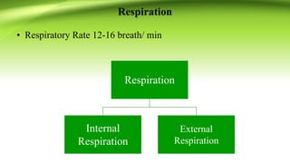 Respiration
• Respiratory Rate 12-16 breath/ min
Respiration
Internal
Respiration
External
Respiration
 