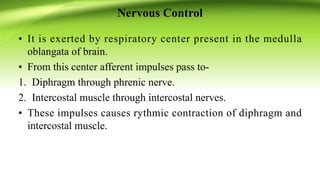Nervous Control
• It is exerted by respiratory center present in the medulla
oblangata of brain.
• From this center afferent impulses pass to-
1. Diphragm through phrenic nerve.
2. Intercostal muscle through intercostal nerves.
• These impulses causes rythmic contraction of diphragm and
intercostal muscle.
 