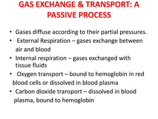 GAS EXCHANGE & TRANSPORT: A
PASSIVE PROCESS
• Gases diffuse according to their partial pressures.
• External Respiration – gases exchange between
air and blood
• Internal respiration – gases exchanged with
tissue fluids
• Oxygen transport – bound to hemoglobin in red
blood cells or dissolved in blood plasma
• Carbon dioxide transport – dissolved in blood
plasma, bound to hemoglobin
 