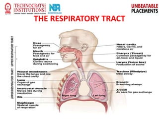 THE RESPIRATORY TRACT
 