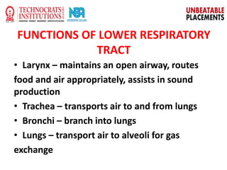 FUNCTIONS OF LOWER RESPIRATORY
TRACT
• Larynx – maintains an open airway, routes
food and air appropriately, assists in sound
production
• Trachea – transports air to and from lungs
• Bronchi – branch into lungs
• Lungs – transport air to alveoli for gas
exchange
 
