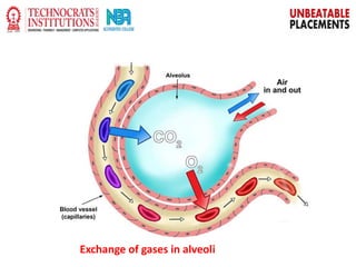 Exchange of gases in alveoli
 