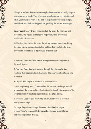 6
ribcage in and out. Breathing out (expiration) does not normally require
your muscles to work. This is because your lungs are very elastic, and
when your muscles relax at the end of inspiration your lungs simply
recoil back into their resting position, pushing the air out as they go.

Upper respiratory tract: Composed of the nose, the pharynx, and
the larynx, the organs of the upper respiratory tract are located
outside the chest cavity.
1- Nasal cavity: Inside the nose, the sticky mucous membrane lining
the nasal cavity traps dust particles, and tiny hairs called cilia help
move them to the nose to be sneezed or blown out.
2-Sinuses: These air-filled spaces along side the nose help make
the skull lighter.
3-Pharynx: Both food and air pass through the pharynx before
reaching their appropriate destinations. The pharynx also plays a role
in speech.
4-Larynx: The larynx is essential to human speech.
Lower respiratory tract: Composed of the trachea, the lungs, and all
segments of the bronchial tree (including the alveoli), the organs of the
lower respiratory tract are located inside the chest cavity.
1-Trachea: Located just below the larynx, the trachea is the main
airway to the lungs.
2-Lungs: Together the lungs form one of the body’s largest
organs. They’re responsible for providing oxygen to capillaries
and exhaling carbon dioxide.
 