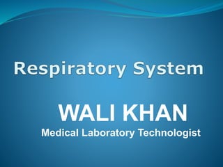 WALI KHAN
Medical Laboratory Technologist
 