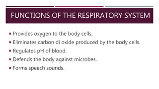 FUNCTIONS OF THE RESPIRATORY SYSTEM
 Provides oxygen to the body cells.
 Eliminates carbon di oxide produced by the body cells.
 Regulates pH of blood.
 Defends the body against microbes.
 Forms speech sounds.
 
