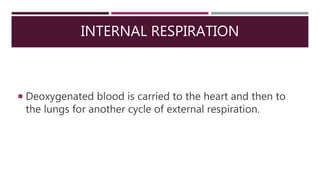 INTERNAL RESPIRATION
 Deoxygenated blood is carried to the heart and then to
the lungs for another cycle of external respiration.
 