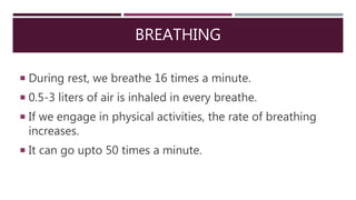 BREATHING
 During rest, we breathe 16 times a minute.
 0.5-3 liters of air is inhaled in every breathe.
 If we engage in physical activities, the rate of breathing
increases.
 It can go upto 50 times a minute.
 