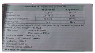 COMPOSITION OF INSPIRED AND EXPIRED AIR
 