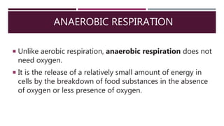 ANAEROBIC RESPIRATION
 Unlike aerobic respiration, anaerobic respiration does not
need oxygen.
 It is the release of a relatively small amount of energy in
cells by the breakdown of food substances in the absence
of oxygen or less presence of oxygen.
 