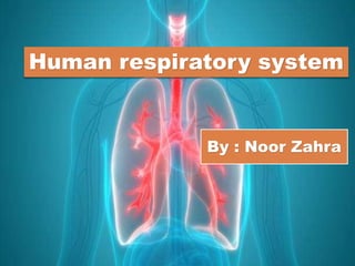 Human respiratory system
By : Noor Zahra
 