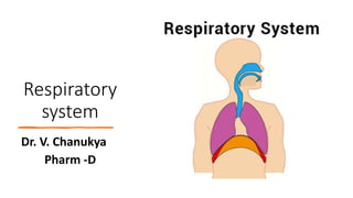 Respiratory
system
Dr. V. Chanukya
Pharm -D
 