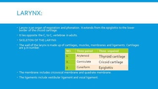 RESPIRATORY  SYSTEM.pptx