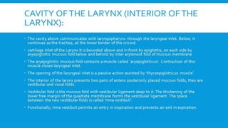 RESPIRATORY  SYSTEM.pptx