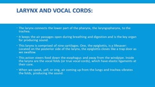 RESPIRATORY  SYSTEM.pptx
