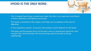 RESPIRATORY  SYSTEM.pptx