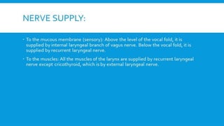 RESPIRATORY  SYSTEM.pptx