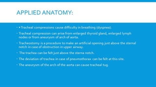 RESPIRATORY  SYSTEM.pptx