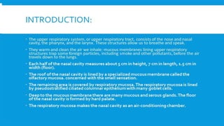 RESPIRATORY  SYSTEM.pptx