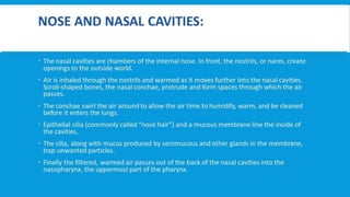 RESPIRATORY  SYSTEM.pptx
