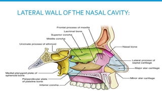 RESPIRATORY  SYSTEM.pptx