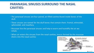 RESPIRATORY  SYSTEM.pptx