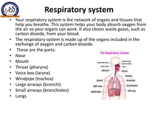 Respiratory system
• Your respiratory system is the network of organs and tissues that
help you breathe. This system helps your body absorb oxygen from
the air so your organs can work. It also cleans waste gases, such as
carbon dioxide, from your blood.
• The respiratory system is made up of the organs included in the
exchange of oxygen and carbon dioxide.
• These are the parts:
• Nose
• Mouth
• Throat (pharynx)
• Voice box (larynx)
• Windpipe (trachea)
• Large airways (bronchi)
• Small airways (bronchioles)
• Lungs
 