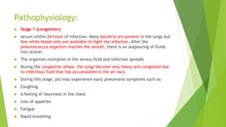 Pathophysiology:
 Stage 1 (congestion)
 occurs within 24 hours of infection. Many bacteria are present in the lungs but
few white blood cells are available to fight the infection. After the
pneumococcus organism reaches the alveoli, there is an outpouring of fluids
into alveoli.
 The organism multiplies in the serous fluid and infection spreads
 During the congestion phase, the lungs become very heavy and congested due
to infectious fluid that has accumulated in the air sacs.
 During this stage, pts may experience early pneumonia symptoms such as:
 Coughing
 A feeling of heaviness in the chest
 Loss of appetite
 Fatigue
 Rapid breathing
 