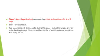  Stage 3 (grey hepatization) occurs on day 4 to 6 and continues for 4 to 8
days.
 Blow Flow decreases
 Red blood cells will disintegrate during this stage, giving the lungs a grayish
color. Leukocytes and fibrin consolidate to the effected parts and symptoms
will likely persist.
 