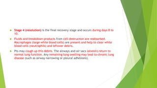  Stage 4 (resolution) is the final recovery stage and occurs during days 8 to
10.
 Fluids and breakdown products from cell destruction are reabsorbed.
Macrophages (large white blood cells) are present and help to clear white
blood cells (neutrophils) and leftover debris.
 Pts may cough up this debris. The airways and air sacs (alveoli) return to
normal lung function. Any remaining lung swelling may lead to chronic lung
disease (such as airway narrowing or pleural adhesions).
 
