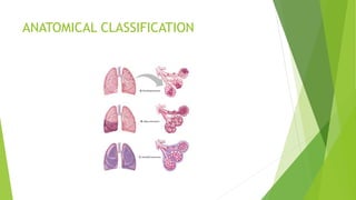 ANATOMICAL CLASSIFICATION
 
