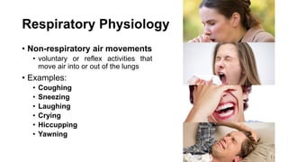 Respiratory Physiology
• Non-respiratory air movements
• voluntary or reflex activities that
move air into or out of the lungs
• Examples:
• Coughing
• Sneezing
• Laughing
• Crying
• Hiccupping
• Yawning
 