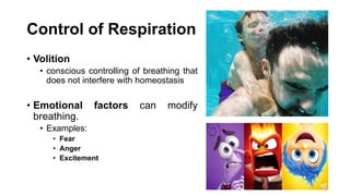 Control of Respiration
• Volition
• conscious controlling of breathing that
does not interfere with homeostasis
• Emotional factors can modify
breathing.
• Examples:
• Fear
• Anger
• Excitement
 