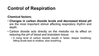 Control of Respiration
Chemical factors:
• Changes in carbon dioxide levels and decreased blood pH
are the most important stimuli affecting respiratory rhythm and
depth.
• Carbon dioxide acts directly on the medulla via its effect on
reducing the pH of blood and brainstem tissue.
• A rising level of carbon dioxide results in faster, deeper breathing;
falling levels lead to shallow, slow breathing.
 
