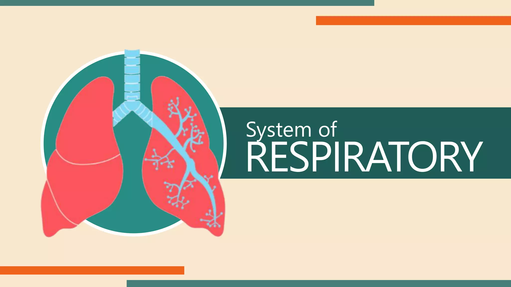 System of
RESPIRATORY
 