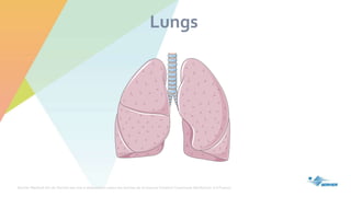 Respiratory_system.ppt
