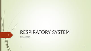 RESPIRATORY SYSTEM
BY GALCHU T
5/9/2023
BY GT
1
 