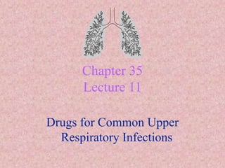 Chapter 35
Lecture 11
Drugs for Common Upper
Respiratory Infections
 