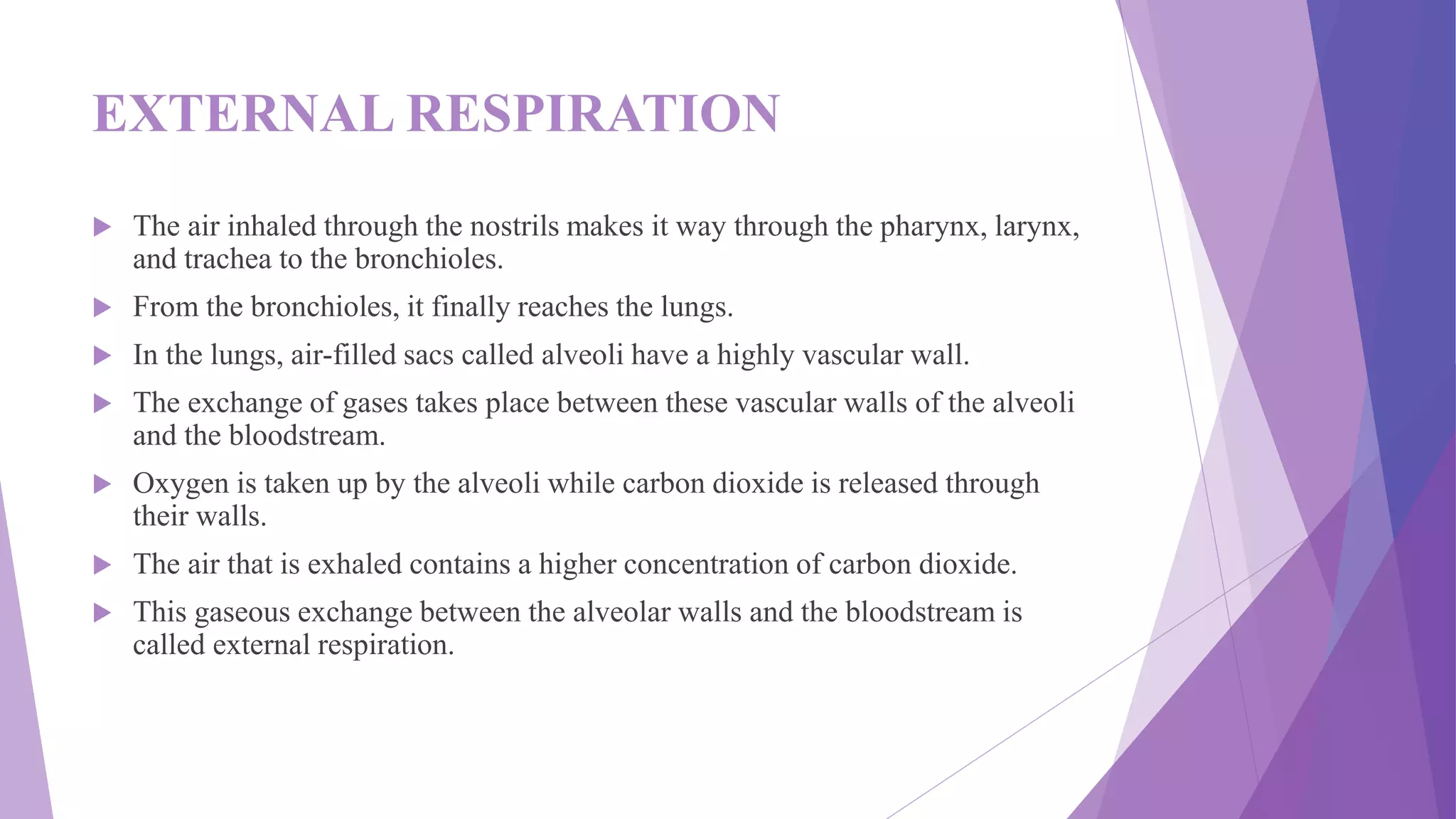 EXTERNAL RESPIRATION
 The air inhaled through the nostrils makes it way through the pharynx, larynx,
and trachea to the bronchioles.
 From the bronchioles, it finally reaches the lungs.
 In the lungs, air-filled sacs called alveoli have a highly vascular wall.
 The exchange of gases takes place between these vascular walls of the alveoli
and the bloodstream.
 Oxygen is taken up by the alveoli while carbon dioxide is released through
their walls.
 The air that is exhaled contains a higher concentration of carbon dioxide.
 This gaseous exchange between the alveolar walls and the bloodstream is
called external respiration.
 