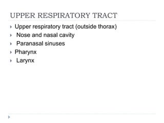 UPPER RESPIRATORY TRACT
 Upper respiratory tract (outside thorax)
 Nose and nasal cavity
 Paranasal sinuses
 Pharynx
 Larynx
 