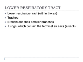 LOWER RESPIRATORY TRACT
 Lower respiratory tract (within thorax)
 Trachea
 Bronchi and their smaller branches
 Lungs, which contain the terminal air sacs (alveoli)
 