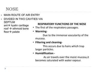 NOSE
 MAIN ROUTE OF AIR ENTRY
 DIVIDED IN TWO CAVITIES VIA
SEPTUM
ant hyalin caritlage
roof  ethmoid bone
floor palate
 