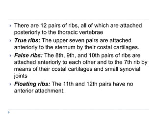  There are 12 pairs of ribs, all of which are attached
posteriorly to the thoracic vertebrae
 True ribs: The upper seven pairs are attached
anteriorly to the sternum by their costal cartilages.
 False ribs: The 8th, 9th, and 10th pairs of ribs are
attached anteriorly to each other and to the 7th rib by
means of their costal cartilages and small synovial
joints
 Floating ribs: The 11th and 12th pairs have no
anterior attachment.
 