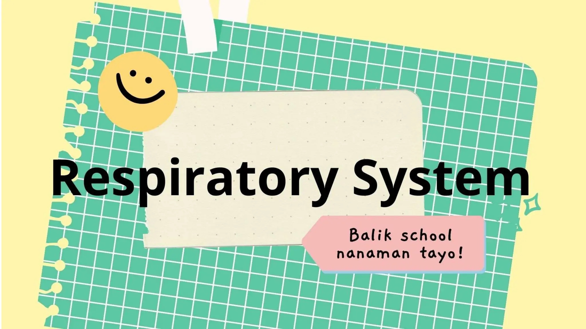 Respiratory system visual data 8