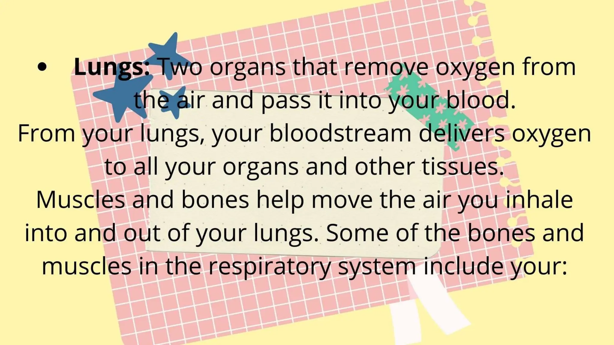 respiratory system parts and their functions | PPTX