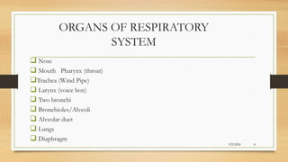 ORGANS OF RESPIRATORY
SYSTEM
 Nose
 Mouth Pharynx (throat)
Trachea (Wind Pipe)
 Larynx (voice box)
 Two bronchi
 Bronchioles/Alveoli
 Alveolar duct
 Lungs
 Diaphragm
3/25/2024 4
 
